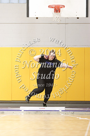 CHS_wt-g_29