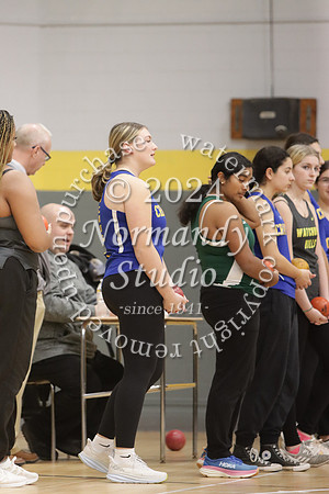 CHS_wt-g_09