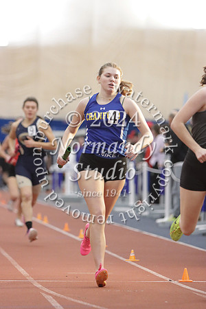 CHS_wt-g_18