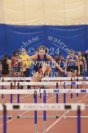 CHS_wt-g_04