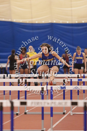 CHS_wt-g_05
