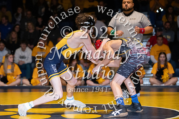 DVH_wr_39