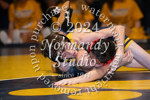 DVH_wr_48