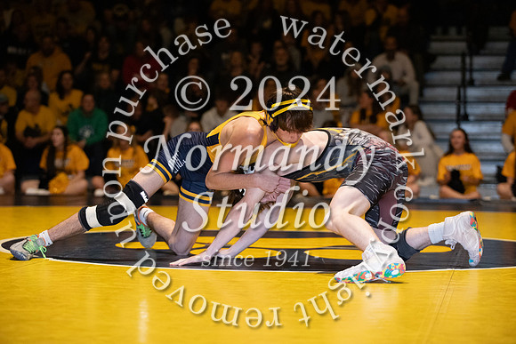 DVH_wr_72
