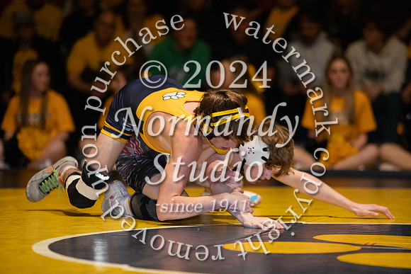 DVH_wr_74