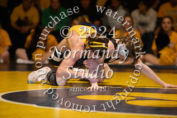 DVH_wr_75
