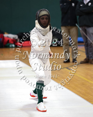 RDG_fe-g_29