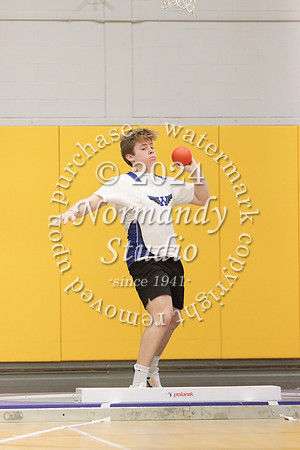 WHS_wt-b_12