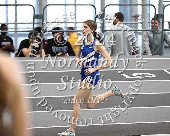 WHS_wt-g_12