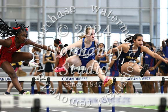 WHS_wt-g_11