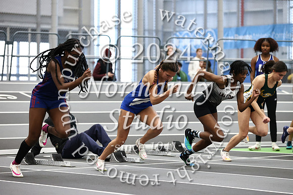 WHS_wt-g_21
