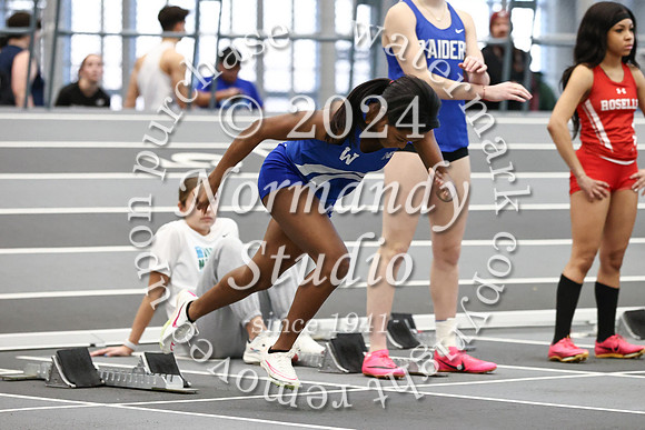 WHS_wt-g_24