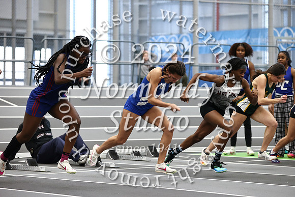 WHS_wt-g_22