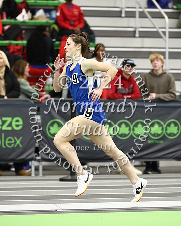 WHS_wt-g_29