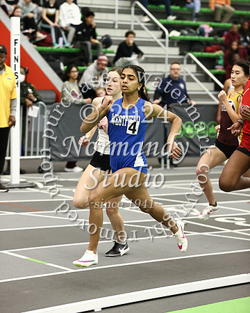 WHS_wt-g_34