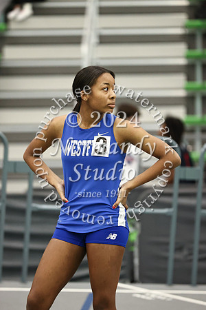WHS_wt-g_35