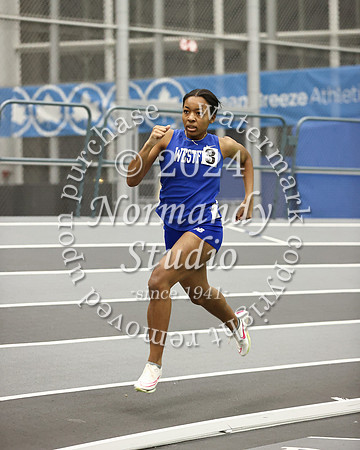 WHS_wt-g_38