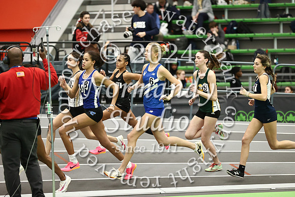 WHS_wt-g_46