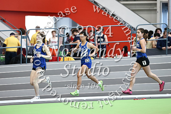 WHS_wt-g_03