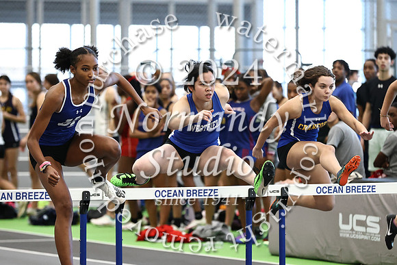 WHS_wt-g_06