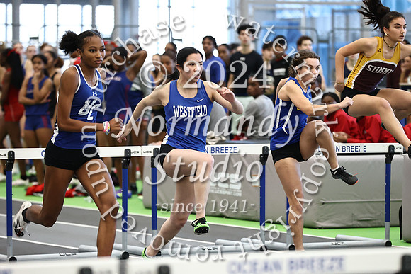 WHS_wt-g_07