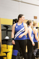 WHS_wt-g_14