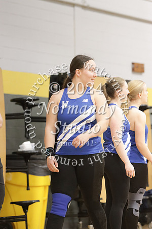 WHS_wt-g_14