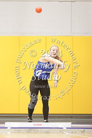 WHS_wt-g_10