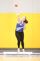WHS_wt-g_12