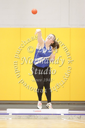 WHS_wt-g_12