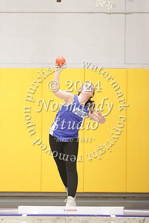 WHS_wt-g_16
