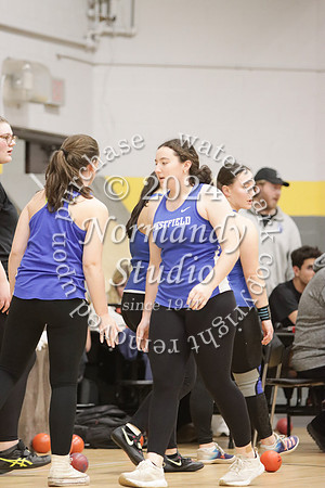 WHS_wt-g_18