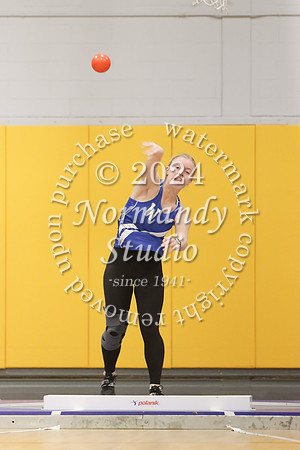 WHS_wt-g_20