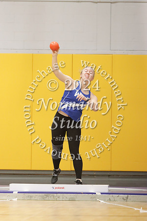 WHS_wt-g_28