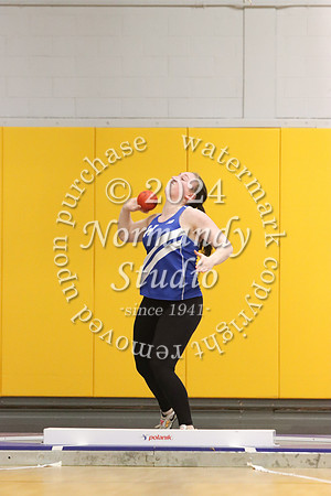 WHS_wt-g_29