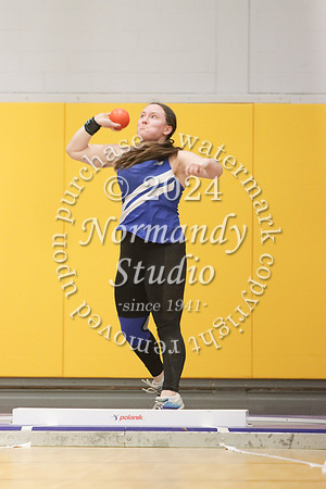 WHS_wt-g_30