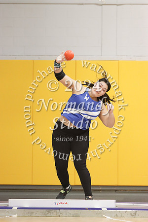WHS_wt-g_31