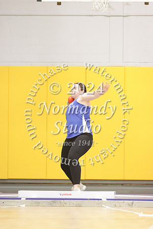 WHS_wt-g_06