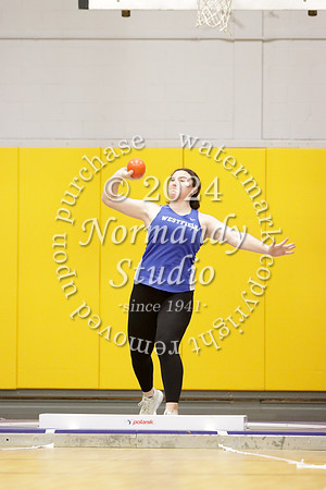 WHS_wt-g_07