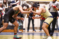WRESTLING BOYS