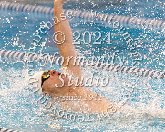 SHP_sw_17