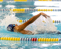 SHP_sw_20