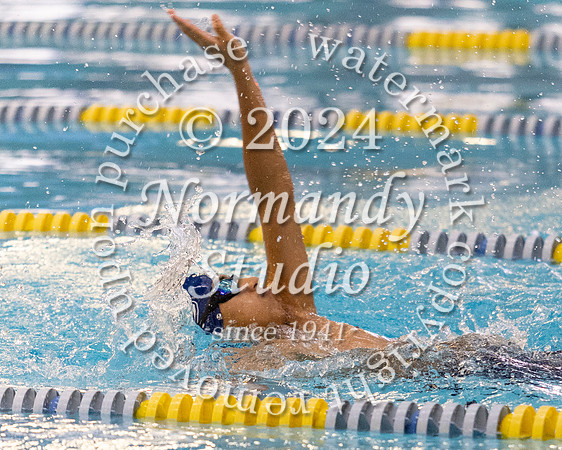 SHP_sw_21