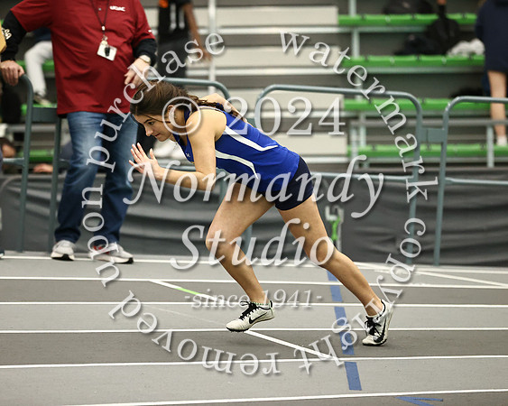CHS_wt-g_32