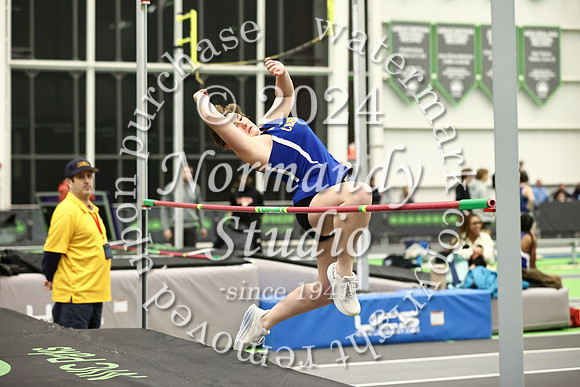 CHS_wt-g_48