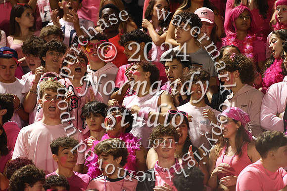 SVL_fans_52