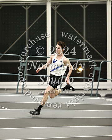 WHS_wt-b_48