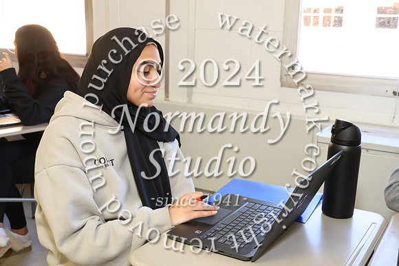 MNP_slc_29