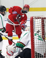 ICE HOCKEY