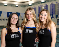 WHS_sw-g-t_05